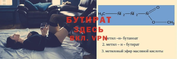 шишки Надым
