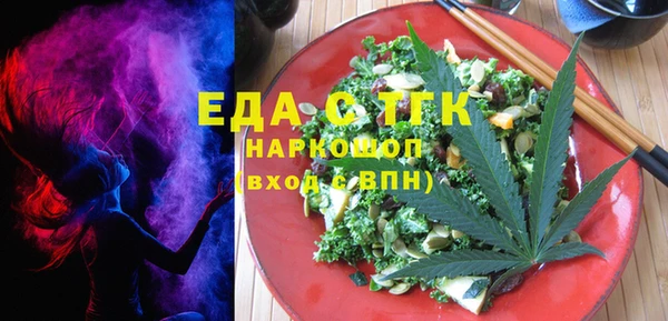 шишки Надым