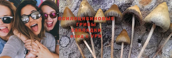 ALPHA-PVP Аркадак
